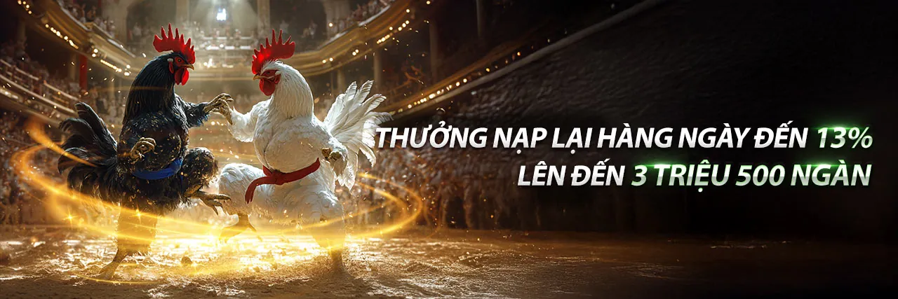 Đá Gà Thomo 6 7 2022 - Trải nghiệm cá cược đá gà trực tiếp